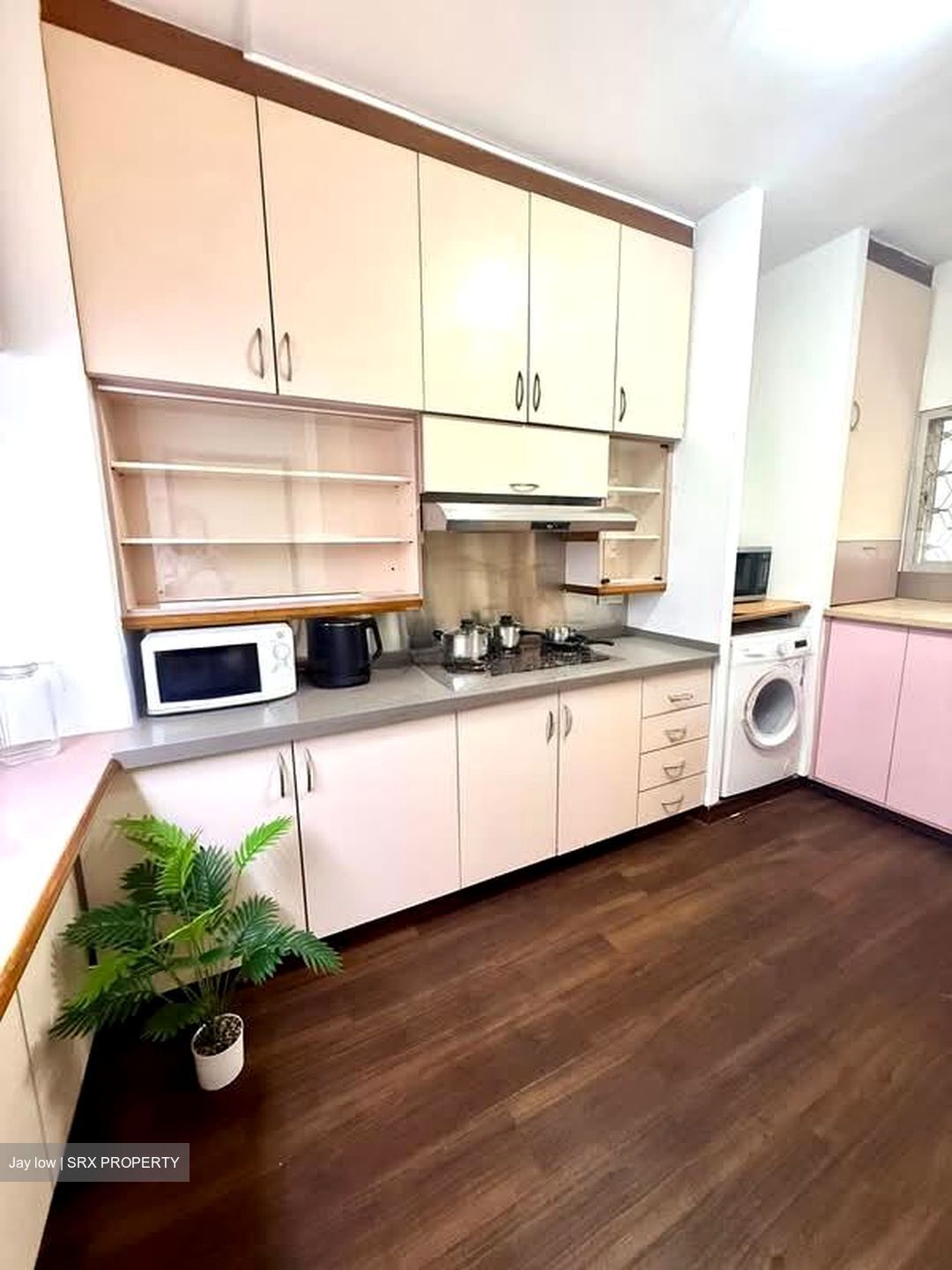 Ridgewood (D10), Condominium #558559681